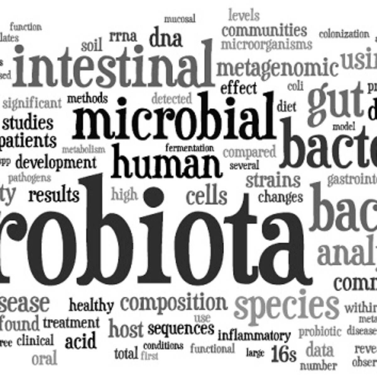 A decades of metagenomics approach based studies wordle